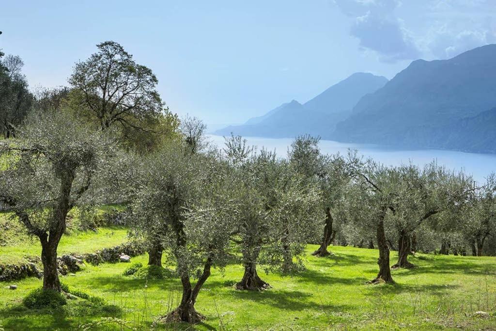 Villa Siresola Malcesine Eksteriør bilde
